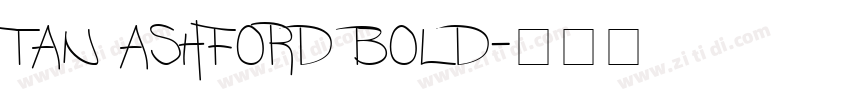 TAN ASHFORD BOLD字体转换